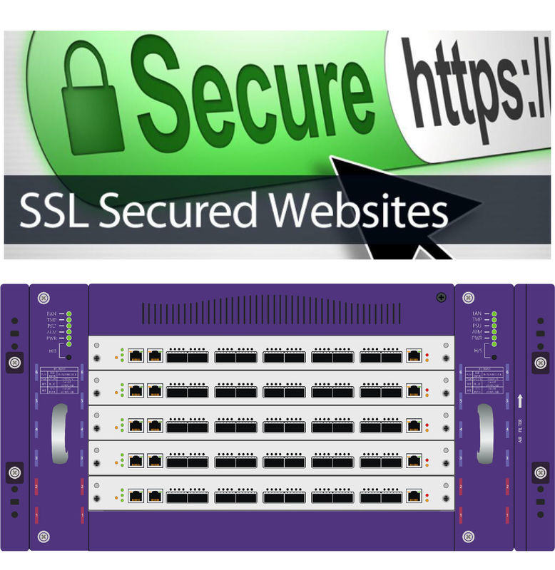 Het netto Inzicht van de de Kranenbedreiging van het Zichtnetwerk van HTTP-SSL en TLS-Protocol de Veiligheid van Monitorcyber